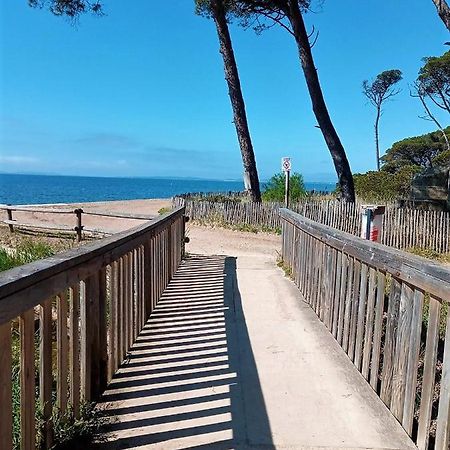 Le Jardin De La Plage - Linges Inclus La Londe-les-Maures Exterior foto